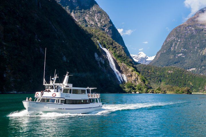Best Tours & Experiences in Milford Sound 11 Cruise Milford NZ Small Boutique Cruise Experience