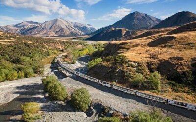 Best Tours & Experiences in Christchurch