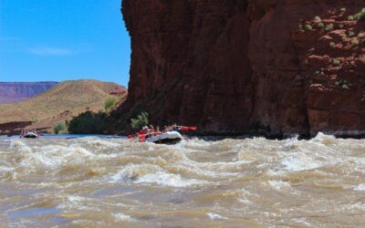 BEST! Hell’s Revenge U-Drive 4X4 Tour in Moab +Dinosaur Tracks! (2026 Review & Booking Guide)