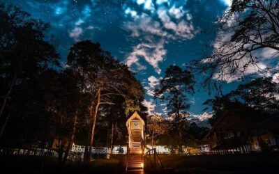 Best Tours & Experiences in Iquitos