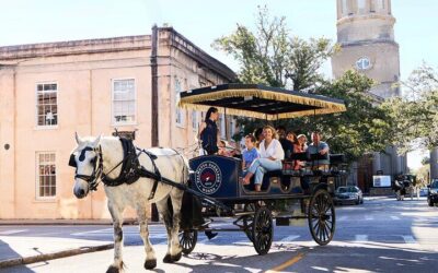 Charleston Horse-Drawn Carriage Tour: Explore Historic (2026 Review & Booking Guide)