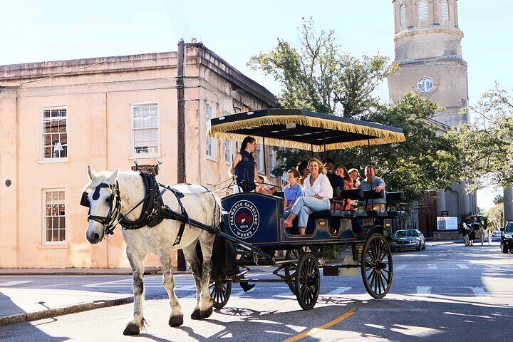 Charleston Horse-Drawn Carriage Tour: Explore Historic in Charleston