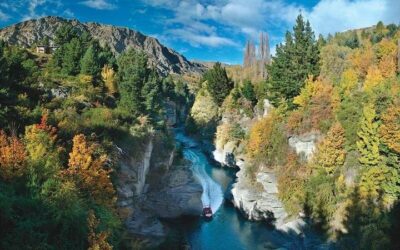 Best Tours in Queenstown: Top Ways to Experience the City (2026)