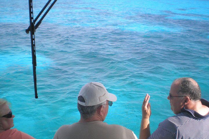 Key Largo Two Reef Snorkel Tour – All Snorkel Equipment Included! in Key Largo