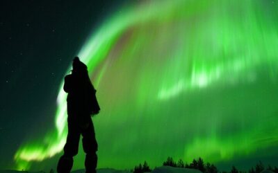 Best Things to Do in Rovaniemi (2026): Top-Rated Tours & Experiences