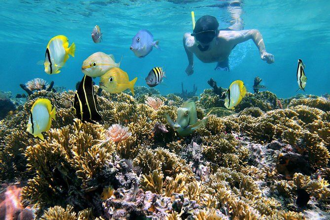 Best Tours & Experiences in St John Virgin Islands 33 d4