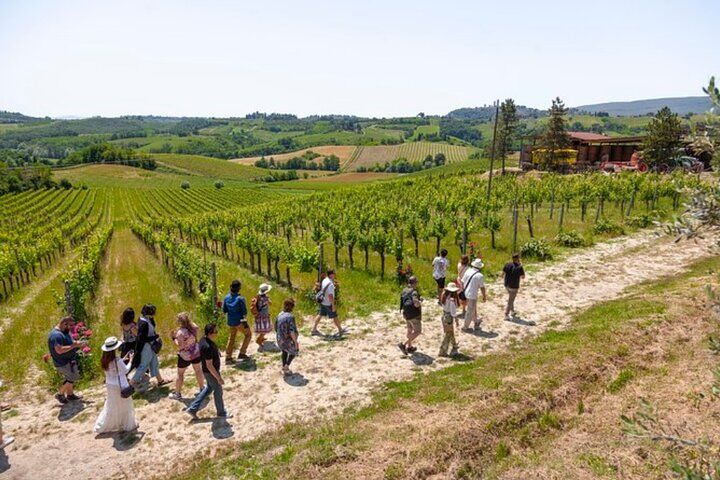 Tuscany Day Trip from Florence: Siena, San Gimignano, Pisa (2026 Review & Booking Guide) 1 Tuscany Day Trip from Florence: Siena, San Gimignano, Pisa in Florence