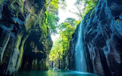 Best Tours & Experiences in Miyazaki