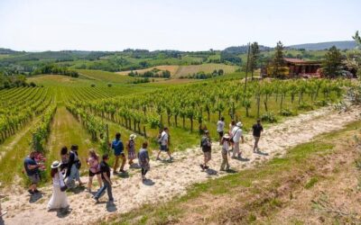 Tuscany Wine (Chianti) from Florence: Guided Tour vs Do It Yourself (Cost & Time Compared)