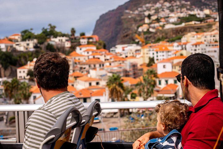 VipDolphins Luxury Whale Watching in Funchal