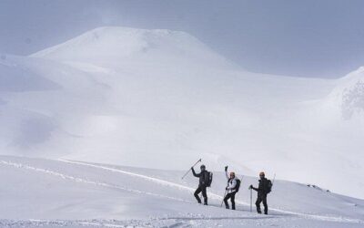 Best Tours & Experiences in Pucon