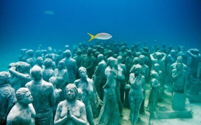 Best Tours & Experiences in Isla Mujeres