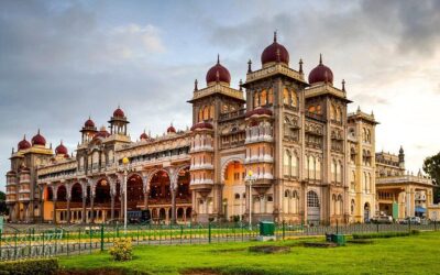 Best Tours & Experiences in Mysore
