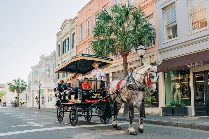 Charleston’s Old South Carriage Historic Horse & Carriage Tour in Charleston