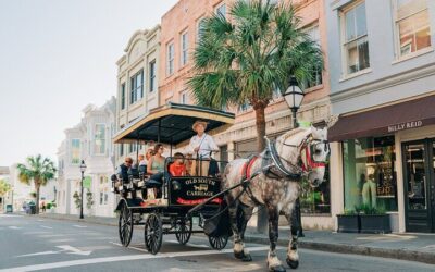 Best Tours in Charleston: Top Ways to Experience the City (2026)