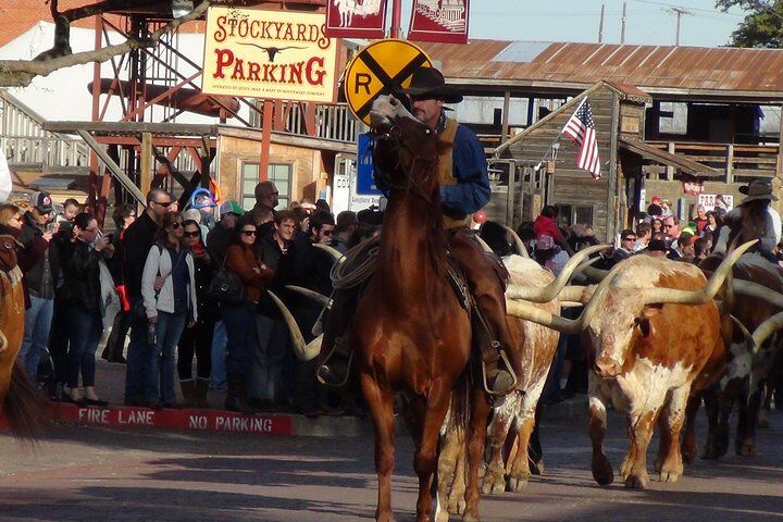 Meilleurs tours et expériences à Dallas Texas 22 Dallas & Fort Worth Combo City Sightseeing Tour Small-Group