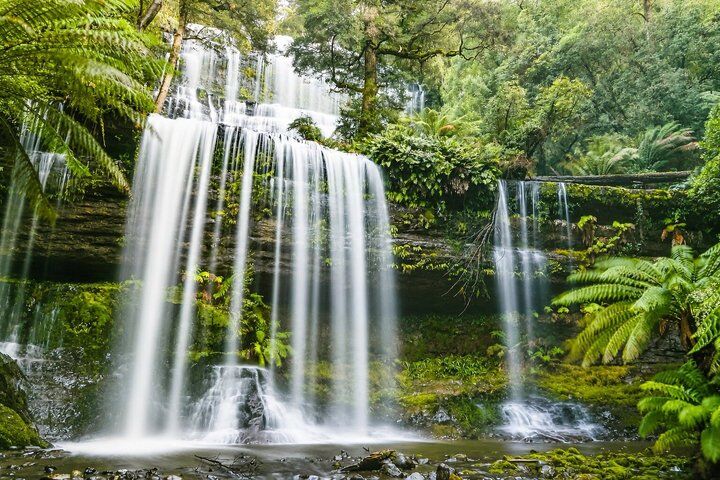 호바트 추천 투어 & 체험 14 Day Tour in Mt. Field, Mt. Wellington, Bonorong Wildlife Sanctuary and Richmond
