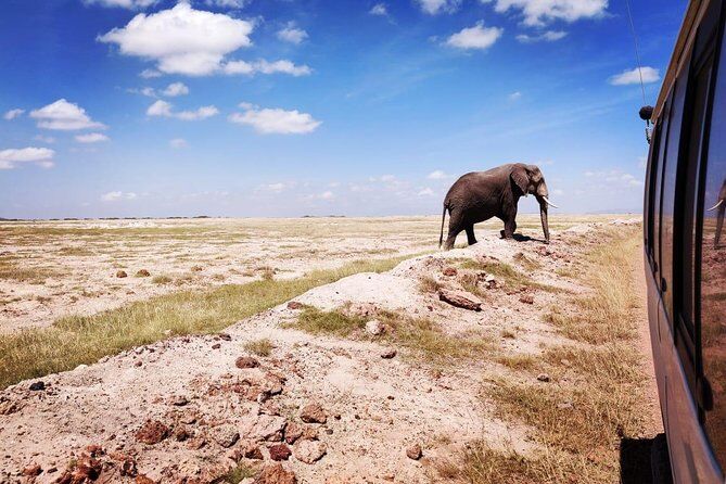 Best Tours & Experiences in Amboseli 16 Day Tour to Amboseli National Park