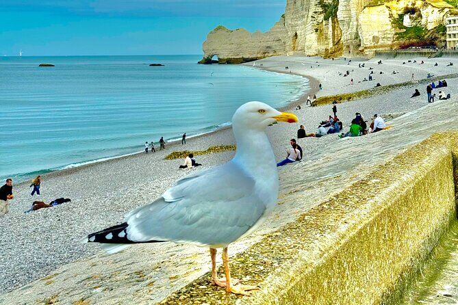 Day Trip from Paris Rouen Etretat and Deauville - Etretat France
