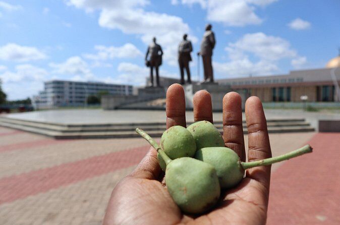 Day Trips from Gaborone Mochudi Village Visit