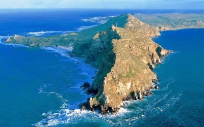 Cape Point and Boulder’s Penguins Full Day Tour (2026 Review & Booking Guide)