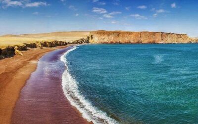 Best Tours & Experiences in Paracas
