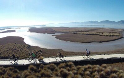 Best Tours & Experiences in Nelson