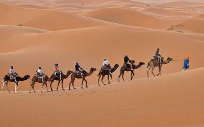Best Day Trips from Fes (2026)