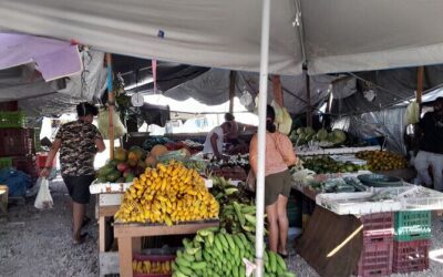 Best Tours & Experiences in Belize City