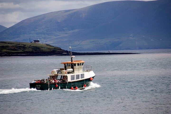 Dingle Peninsula Day Tour from Limerick: The Wild Atlantic Way