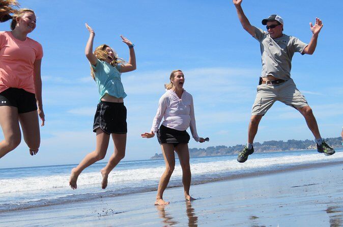 Discover Point Reyes Natural Wonders and Ancient Redwoods All Inclusive - Point Reyes California