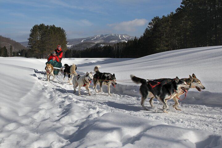 Dogsled Diable Adventure in Mont-Tremblant