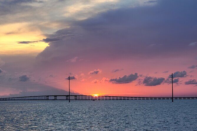 Migliori tour ed esperienze a Padre Island Texas 27 Dolphin Watch and Eco Tours - Padre Island Texas