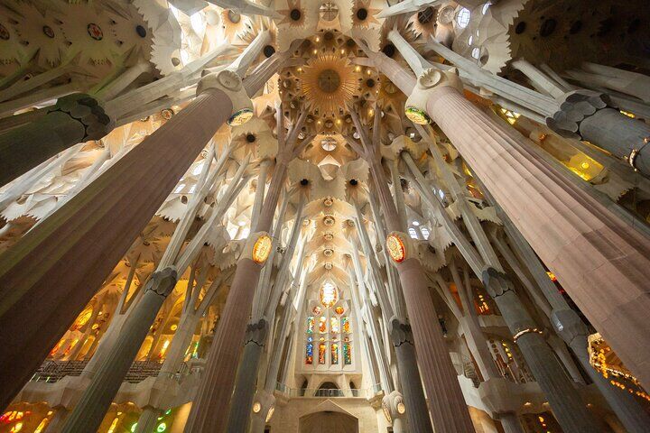 Sagrada Familia Tickets Compared: Basic vs Tower Access vs Guided (2026) 14 Sagrada Familia Guided Tour with Skip the Line Ticket