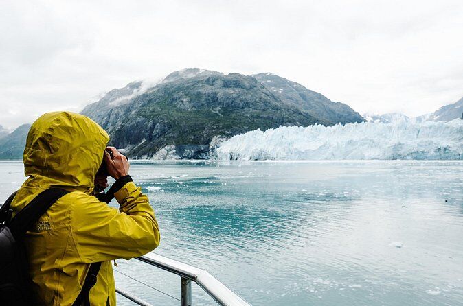 글레이셔 베이(알래스카) 최고의 투어 & 체험 16 Glacier Bay Day Tour Explore Tidewater Glaciers and Wildlife - Glacier Bay Alaska
