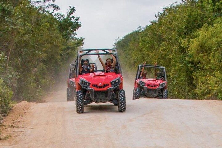 How Tour Refunds & Chargebacks Work (and When to Use Them) 16 Jungle Buggy Tour from Playa del Carmen Including Cenote Swim