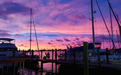 Sarasota Mangrove Tunnel Guided Kayak Adventure (2026 Review & Booking Guide)