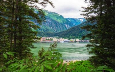 Juneau Wildlife Whale Watching (2026 Review & Booking Guide)