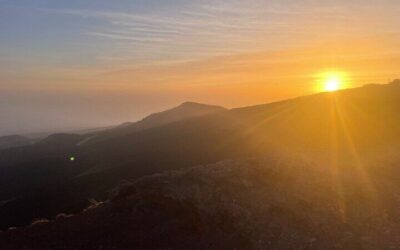 Best Day Trips from Catania (2026)
