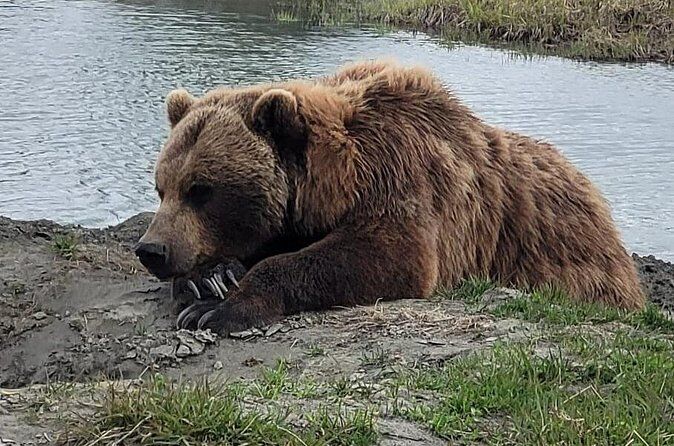 Best Tours & Experiences in Anchorage Alaska 16 e5 2