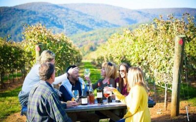Maipo Valley Wine Tour with 4 vineyards from Santiago. (2026 Review & Booking Guide)