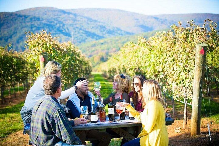 Maipo Valley Wine Tour with 4 vineyards from Santiago. (2026 Review & Booking Guide) 1 Maipo Valley Wine Tour with 4 vineyards from Santiago. in Santiago