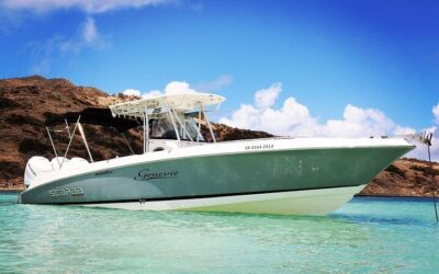 Best Things to Do in St Maarten (2026): Top-Rated Tours & Experiences