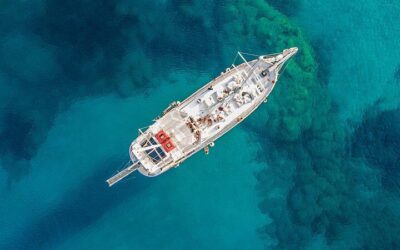 Rhodes Exclusive Swim Cruise Cocktail Open bar & Gourmet (2026 Review & Booking Guide)