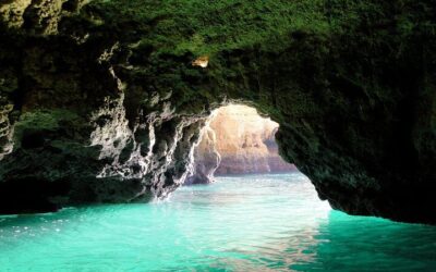 Boat trip to the grottos at Ponta da Piedade, Lagos (2026 Review & Booking Guide)