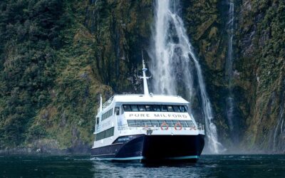 Best Tours & Experiences in Milford Sound