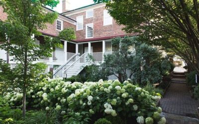 Best Time to Visit Lexington (2026): Month-by-Month Guide