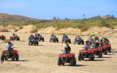 What to Eat in Cabo San Lucas: Best Food Guide (2026)