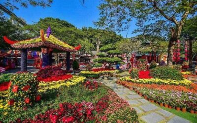 Best Tours & Experiences in Shenzhen