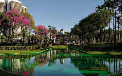 Best Tours & Experiences in Belo Horizonte